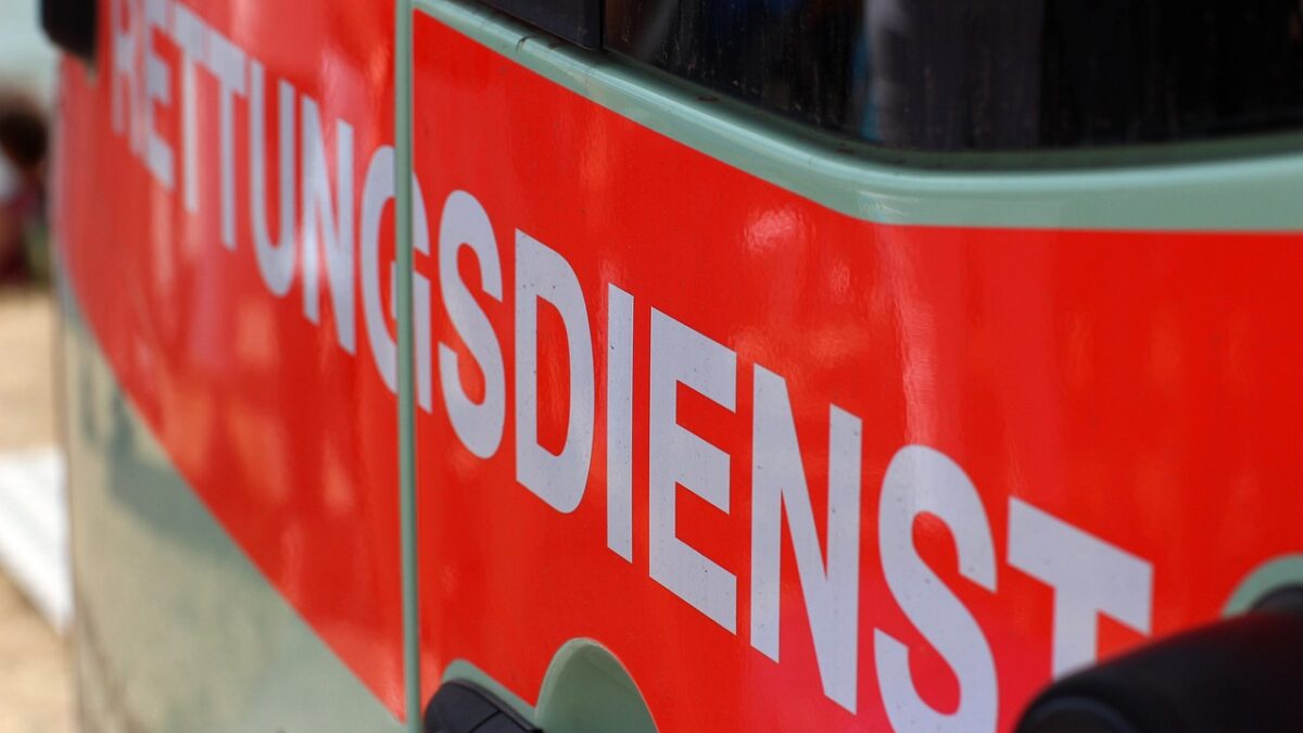Pferdegespann in Horka außer Kontrolle – Fahrer schwer verletzt