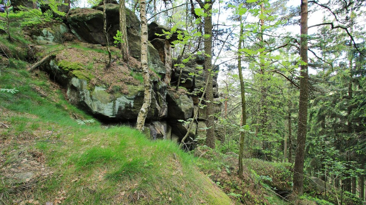 100.000 Euro extra für den Naturpark Zittauer Gebirge