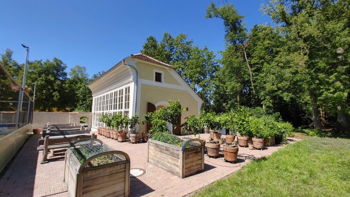 Orangerie Kreba-Neudorf öffnet – Kretschmer kommt dazu