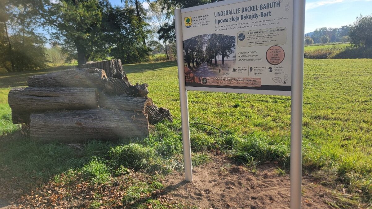 Infotafel erklärt die Lindenallee zwischen Rackel und Baruth