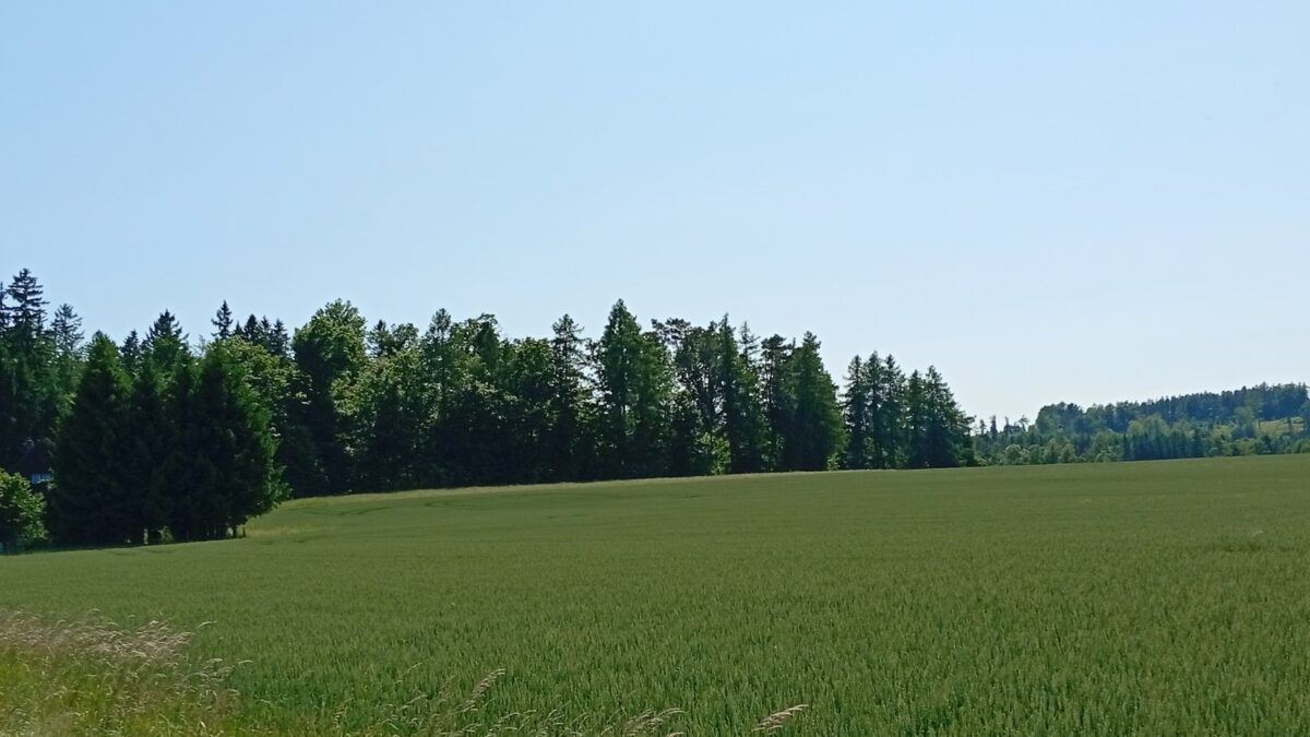 Schmölln-Putzkau rechnet mit 33.000 Euro aus dem Solarpark