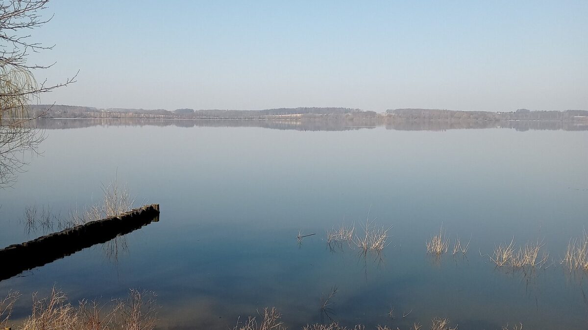 Baumpflege an Flüssen und Talsperren in beiden Landkreisen